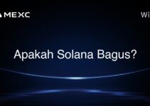Apakah Solana Bagus?