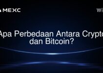 Apa Perbedaan Antara Crypto dan Bitcoin?