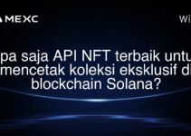 Apa saja API NFT terbaik untuk mencetak koleksi eksklusif di blockchain Solana?