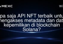 Apa saja API NFT terbaik untuk mengakses metadata dan data kepemilikan di blockchain Solana?