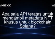 Apa saja API teratas untuk mengambil metadata NFT khusus untuk blockchain Solana?