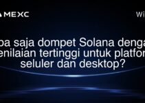 Apa saja dompet Solana dengan penilaian tertinggi untuk platform seluler dan desktop?