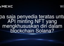 Apa saja penyedia teratas untuk API minting NFT yang mengkhususkan diri dalam blockchain Solana?