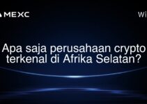 Apa saja perusahaan crypto terkenal di Afrika Selatan?