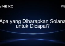Apa yang Diharapkan Solana untuk Dicapai?