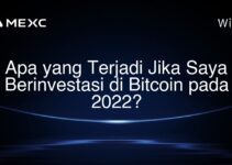 Apa yang Terjadi Jika Saya Berinvestasi di Bitcoin pada 2022?