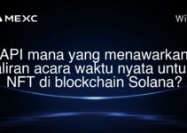 API mana yang menawarkan aliran acara waktu nyata untuk NFT di blockchain Solana?