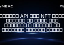 بهترین APIهای مین‌تینگ NFT سولانا برای توسعه اپلیکیشن کاربرپسند کدامند؟