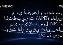 ما هي أفضل واجهات برمجة التطبيقات (APIs) للوصول إلى بيانات سوق NFT في الوقت الحقيقي على سلسلة كتلة سولانا؟