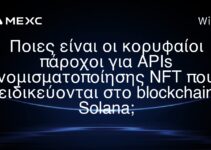 Ποιες είναι οι κορυφαίοι πάροχοι για APIs νομισματοποίησης NFT που ειδικεύονται στο blockchain Solana;