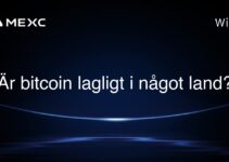 Är bitcoin lagligt i något land?