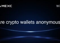 Are crypto wallets anonymous?