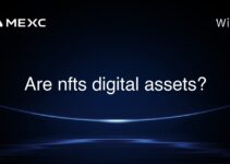 Are nfts digital assets?