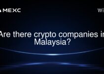 Are there crypto companies in Malaysia?