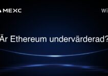 Är Ethereum undervärderad?