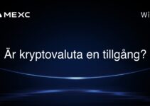 Är kryptovaluta en tillgång?