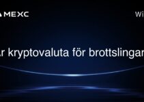 Är kryptovaluta för brottslingar?