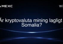 Är kryptovaluta mining lagligt i Somalia?