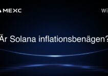 Är Solana inflationsbenägen?