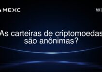 As carteiras de criptomoedas são anônimas?