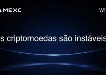 As criptomoedas são instáveis?