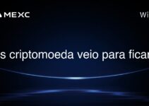 As criptomoeda veio para ficar?