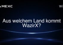 Aus welchem Land kommt WazirX?