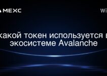 какой токен используется в экосистеме Avalanche
