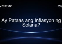 Ay Pataas ang Inflasyon ng Solana?