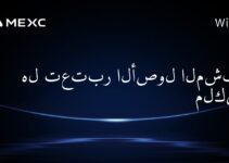 هل تعتبر الأصول المشفرة ملكية؟