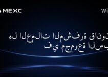 هل العملات المشفرة قانونية في مجموعة السبع؟
