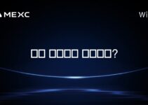 세럼 창립자는 누구인가?