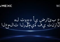 هل توجد أي ضرائب على العملات الرقمية في تنزانيا؟