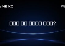 세럼은 어떤 나라에서 왔나요?
