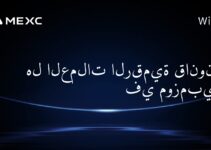 هل العملات الرقمية قانونية في موزمبيق؟