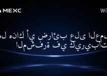 هل هناك أي ضرائب على العملات المشفرة في كيريباتي؟