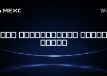 زبان برنامه‌نویسی سولانا چیست؟