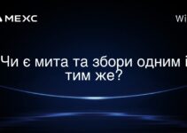 Чи є мита та збори одним і тим же?