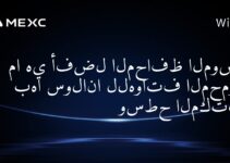 ما هي أفضل المحافظ الموصى بها سولانا للهواتف المحمولة وسطح المكتب؟