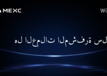 هل العملات المشفرة سلعة؟