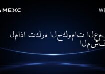 لماذا تكره الحكومات العملات المشفرة؟