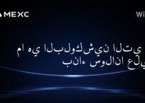 ما هي البلوكشين التي تم بناء سولانا عليها؟