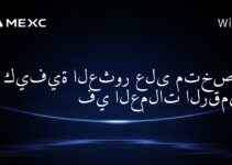 كيفية العثور على متخصص في العملات الرقمية؟