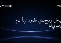 من أي دولة ينحدر شبكة كيبير؟