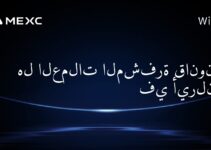 هل العملات المشفرة قانونية في أيرلندا؟
