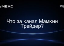 Что за канал Мамкин Трейдер?