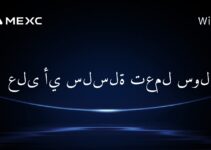 على أي سلسلة تعمل سولانا؟