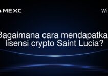 Bagaimana cara mendapatkan lisensi crypto Saint Lucia?