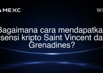 Bagaimana cara mendapatkan lisensi kripto Saint Vincent dan Grenadines?