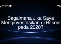 Bagaimana Jika Saya Menginvestasikan di Bitcoin pada 2020?